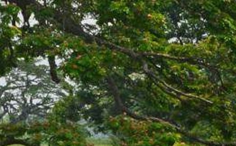 ��������Ľ�ѧ��˼(15ƪ)