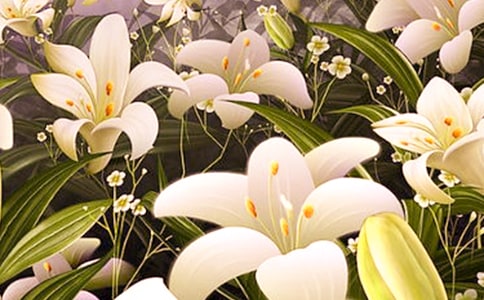 ���꼶���ڰٺϻ�������