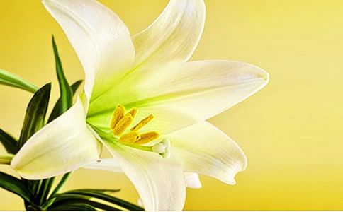 ��ϲ���ٺϻ�