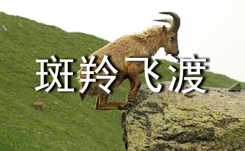 《斑羚飞渡》读后感15篇(优)