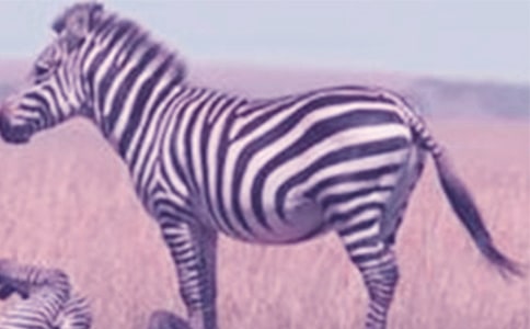 ���ð����߳�������