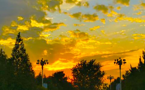 ����İ����Ķ�����