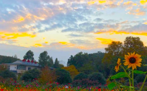 ���������һ����