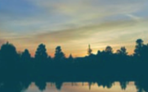 ����İ�����������