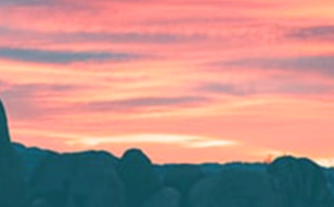 �����������꼶����������ƪ