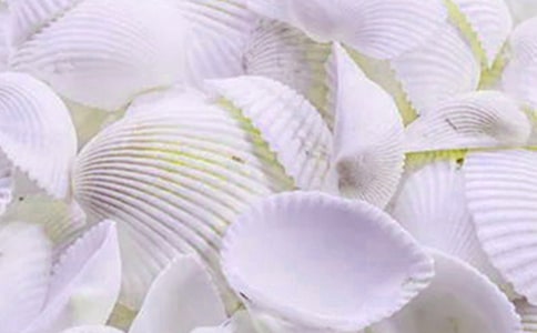 �񱴿����꼶�ܼ�