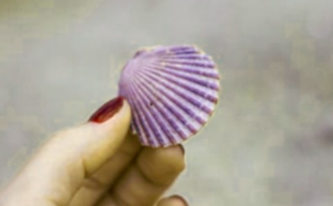 �ҵ��İ�֮�ﱴ�����ķ��ģ�ͨ��20ƪ��