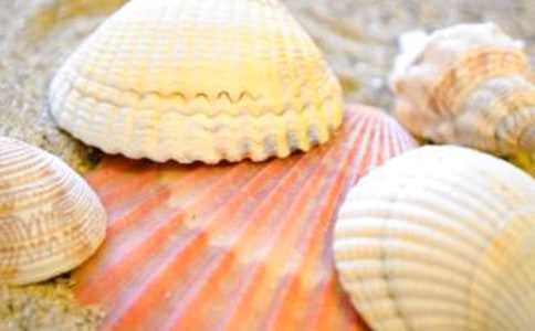 �����ı���˵����