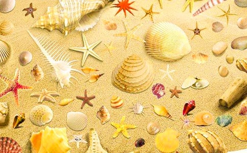 ���Ƕ����