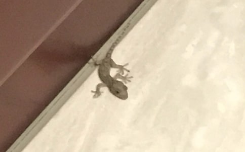 �ڻ���β�����ģ�ͨ��23ƪ��