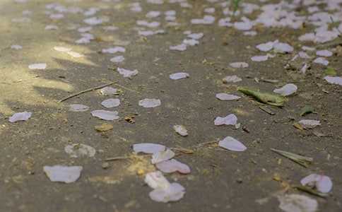 �±�������(ʵ��)