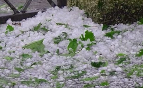 �ε��ºô�ı����ҵ��Լ���ʲôԤ��