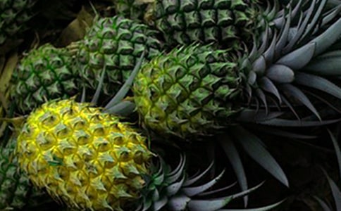 Сѧ�ܼ����ģ��ֲ���