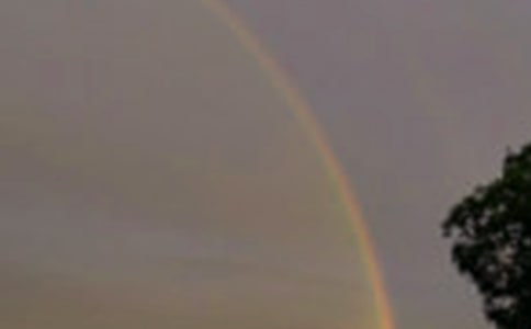 ���ڲʺ�Ĺ�������