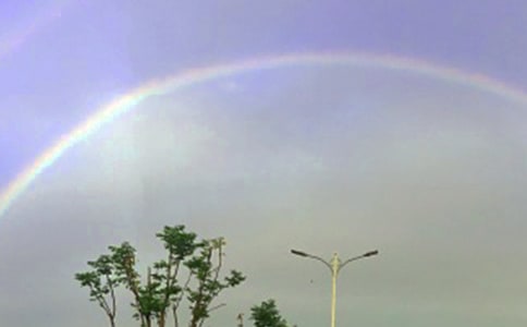 �ʺ����꼶���ģ���ѡ45ƪ��