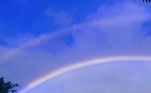 �ʺ�ȥ�Ķ���ͯ�����£���ѡ5ƪ��