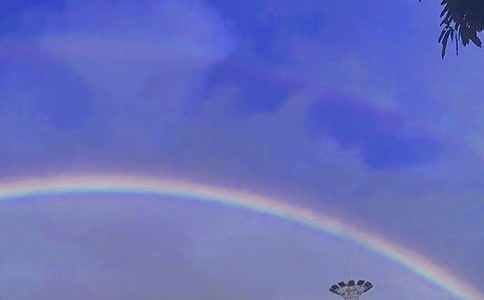 �����Ĳʺ�����