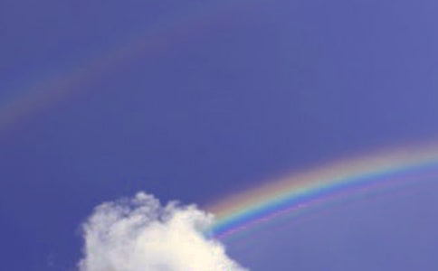 ����һƬ�ʺ��������