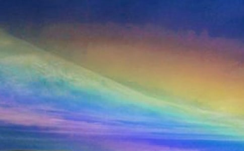 ����Ͳʺ�ĶԻ�