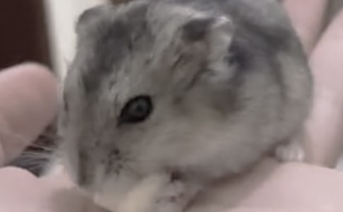 �ҼҵĲ�������(15ƪ)