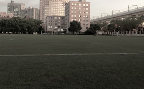 ѧУ�Ĳٳ����Ĺ�15ƪ