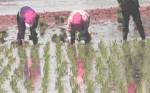 ˮ��������