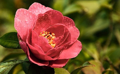 �軨���꼶����