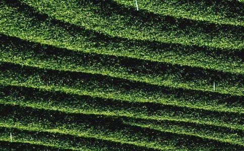 �����Ҷ��һ��--���辭������