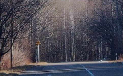 ��д����ɽѩ���ļ���