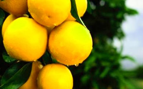 ����˵����