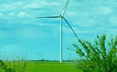 ���紺��ɢ��ʫ