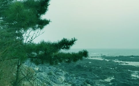 չ���ഺ������۷ܽ��������ģ�ͨ��29ƪ��