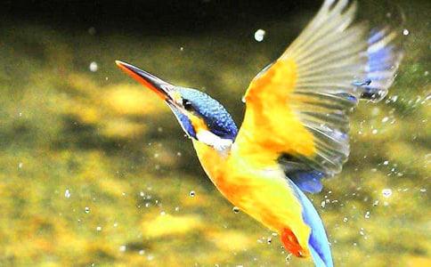 �����񡷽�ѧ���15ƪ