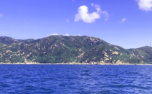 精选我爱大海五年级作文七篇