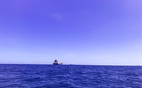 ���꼶�ϲᡶ�󺣵ĸ衷ͬ����ϰ��