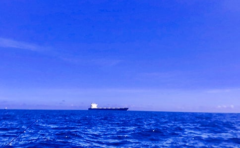 大海的自述作文(精选23篇)