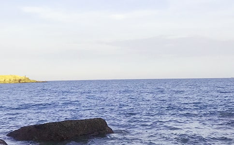 大海的优美句子15篇