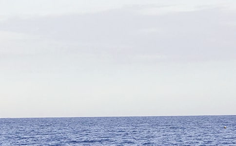 我爱大海五年级作文300字锦集6篇