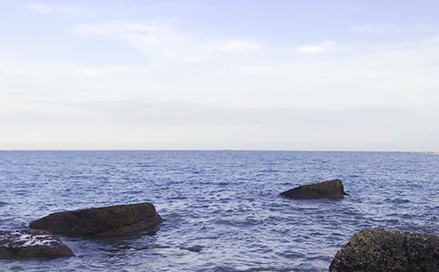 我终于见到了大海