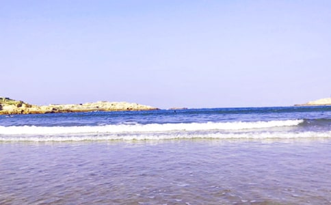 ��д���õĳ���