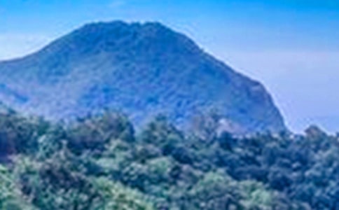 ��ɽ���黳ɢ�����