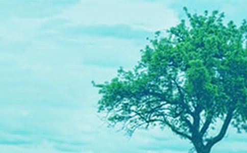 ����һ�ô���_400��