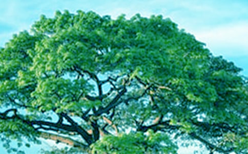 ������������������������