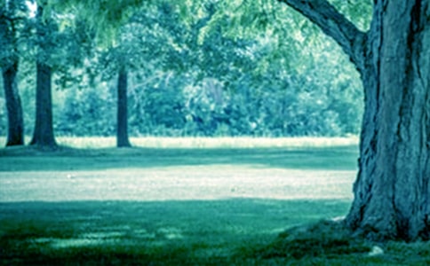 ���������������ģ���������