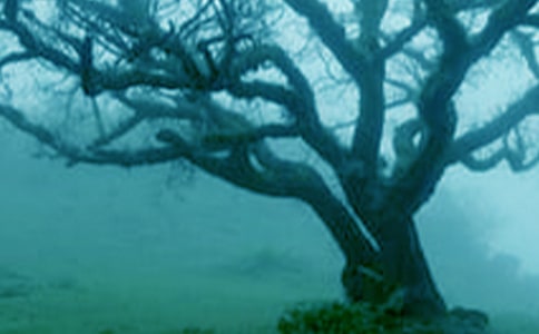 ��һ�ô����������ѧ��ƣ��ڶ���ʱ��