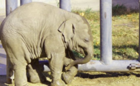 ���������ܽӴ�����