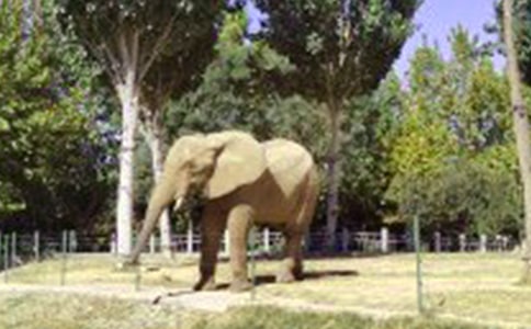 豺狼怎样吃到大象肉