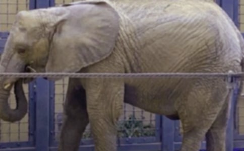 ���ڲ´���������ȫ