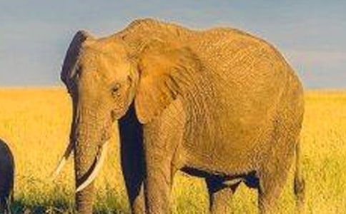 �й����꼶�������ĺϼ���ƪ