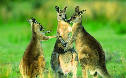 С����ʹ����_700��